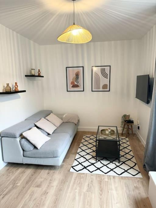 Appartement Eloi - 1 Chambre Mont-de-Marsan Exteriér fotografie